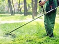 Προσλήψεις 14 εργατών πρασίνου και οδηγών